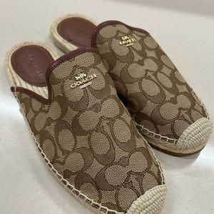 Coach slides